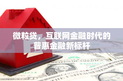 始兴微粒贷，互联网金融时代的普惠金融新标杆
