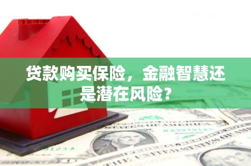 始兴贷款购买保险，金融智慧还是潜在风险？