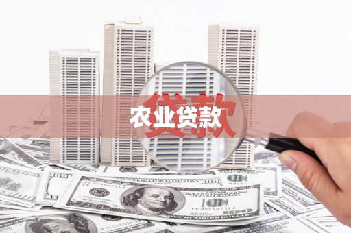 始兴农业贷款