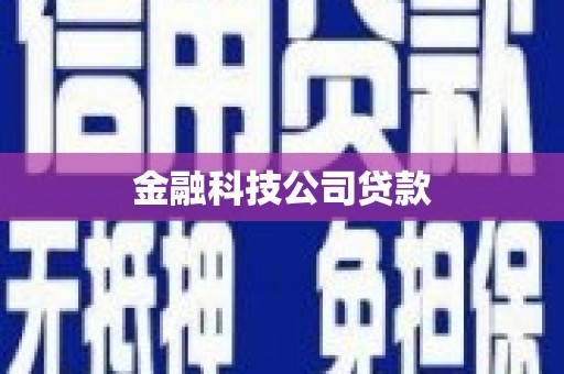 始兴金融科技公司贷款