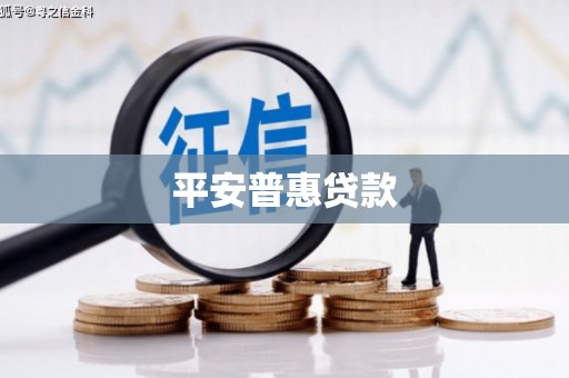 始兴平安普惠贷款