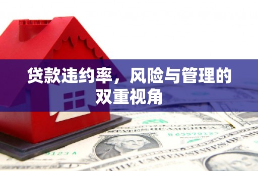 始兴贷款违约率，风险与管理的双重视角