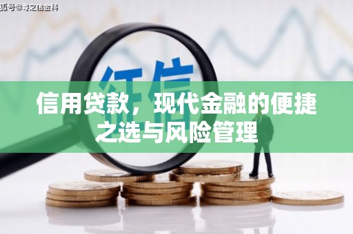 始兴信用贷款，现代金融的便捷之选与风险管理