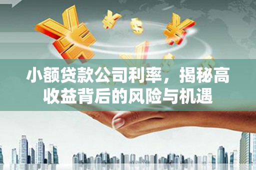 始兴小额贷款公司利率，揭秘高收益背后的风险与机遇