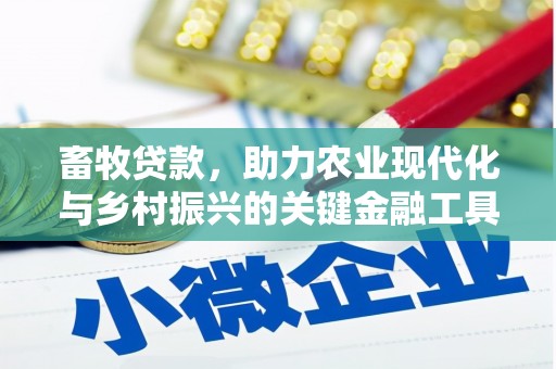 始兴畜牧贷款，助力农业现代化与乡村振兴的关键金融工具