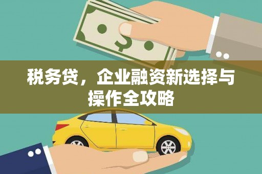 始兴税务贷，企业融资新选择与操作全攻略