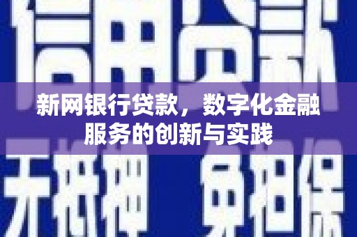 始兴新网银行贷款，数字化金融服务的创新与实践
