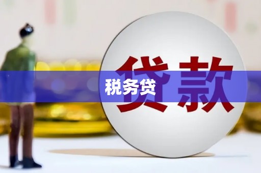 始兴税务贷