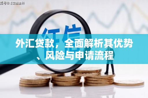 始兴外汇贷款，全面解析其优势、风险与申请流程