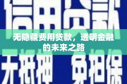 始兴无隐藏费用贷款，透明金融的未来之路