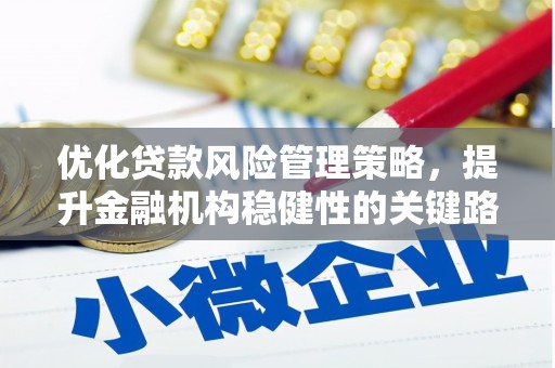 始兴优化贷款风险管理策略，提升金融机构稳健性的关键路径