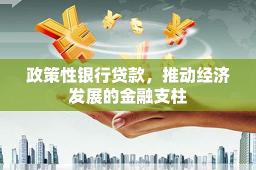 始兴政策性银行贷款，推动经济发展的金融支柱