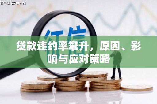 始兴贷款违约率攀升，原因、影响与应对策略