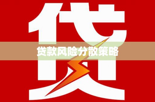 始兴贷款风险分散策略
