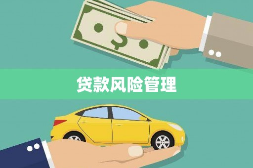 始兴贷款风险管理