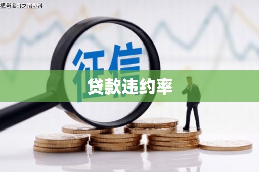 始兴贷款违约率