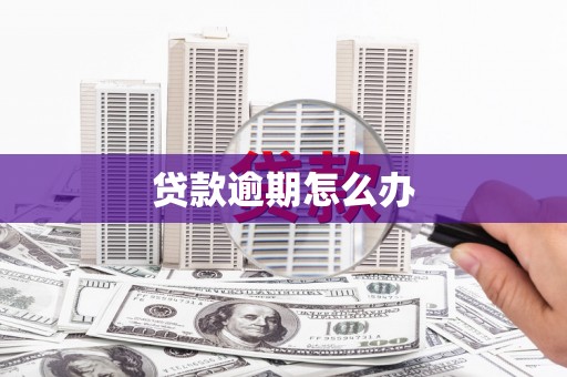 始兴贷款逾期怎么办