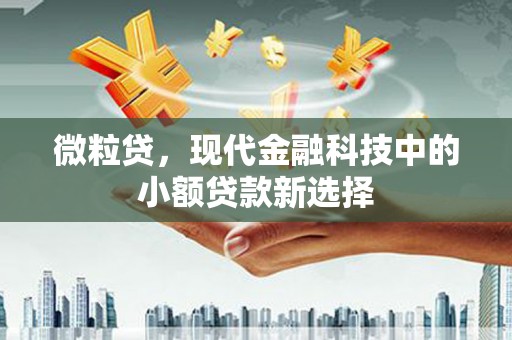 始兴微粒贷，现代金融科技中的小额贷款新选择