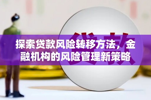 始兴探索贷款风险转移方法，金融机构的风险管理新策略