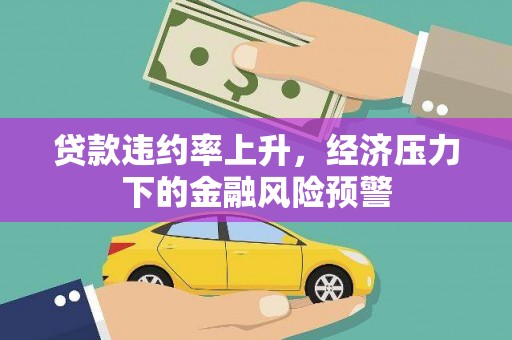 始兴贷款违约率上升，经济压力下的金融风险预警