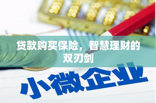 始兴贷款购买保险，智慧理财的双刃剑