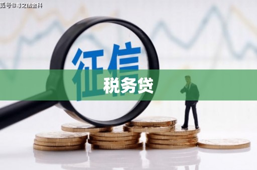 始兴税务贷