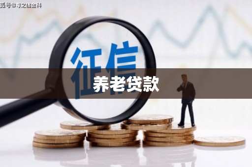 始兴养老贷款