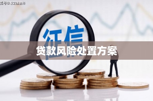 始兴贷款风险处置方案