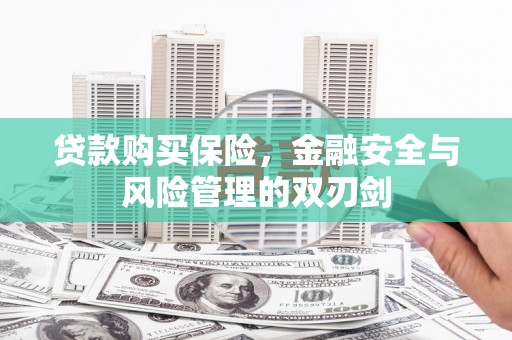 始兴贷款购买保险，金融安全与风险管理的双刃剑