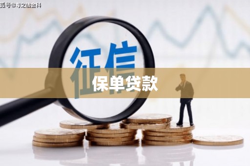 始兴保单贷款