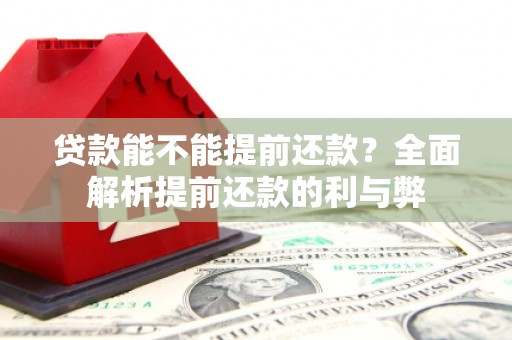 始兴贷款能不能提前还款？全面解析提前还款的利与弊