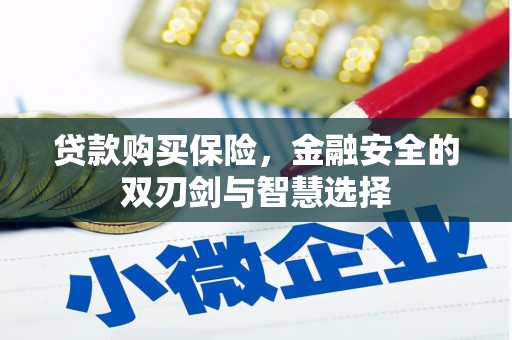 始兴贷款购买保险，金融安全的双刃剑与智慧选择