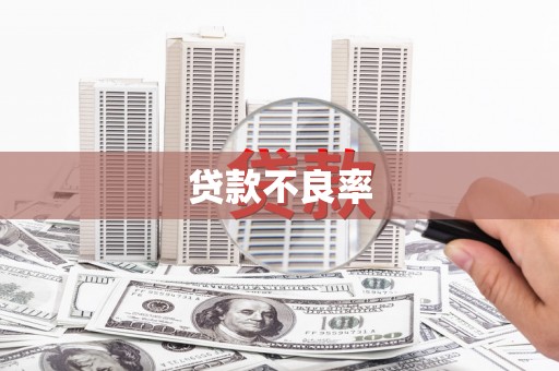 始兴贷款不良率