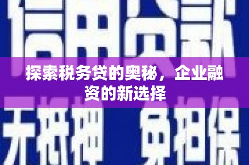始兴探索税务贷的奥秘，企业融资的新选择