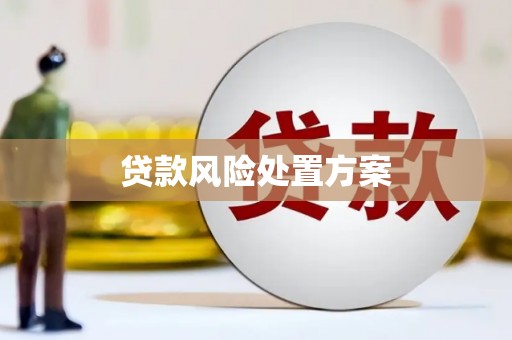 始兴贷款风险处置方案