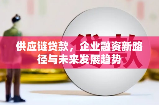 始兴供应链贷款，企业融资新路径与未来发展趋势