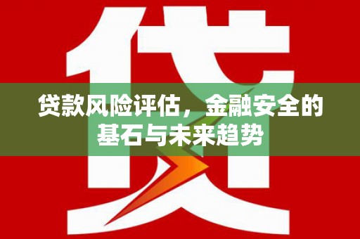 始兴贷款风险评估，金融安全的基石与未来趋势