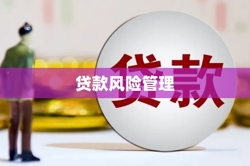 始兴贷款风险管理