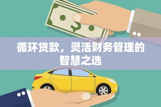 始兴循环贷款，灵活财务管理的智慧之选
