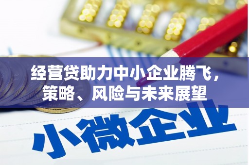 始兴经营贷助力中小企业腾飞，策略、风险与未来展望