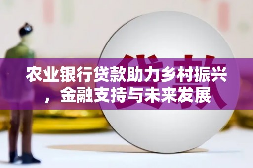 始兴农业银行贷款助力乡村振兴，金融支持与未来发展