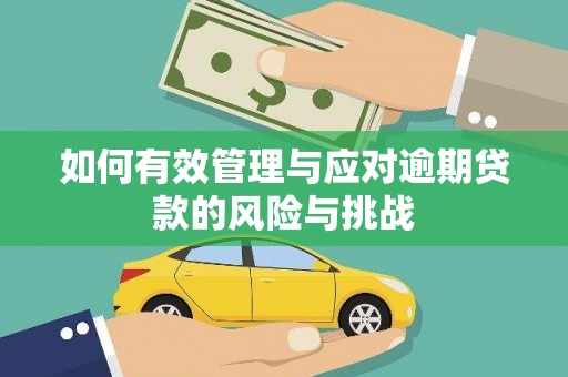 始兴如何有效管理与应对逾期贷款的风险与挑战