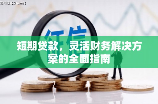始兴短期贷款，灵活财务解决方案的全面指南