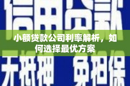 始兴小额贷款公司利率解析，如何选择最优方案