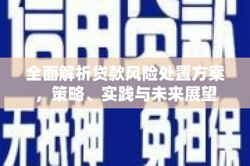 始兴全面解析贷款风险处置方案，策略、实践与未来展望