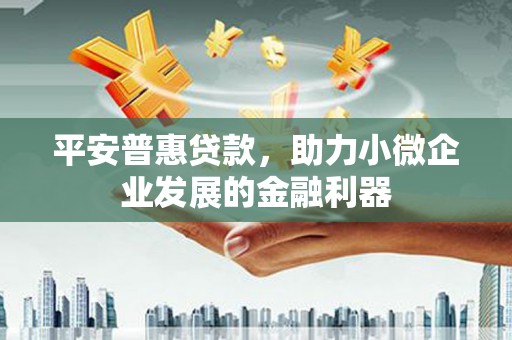 始兴平安普惠贷款，助力小微企业发展的金融利器