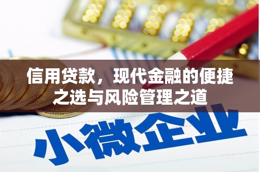 始兴信用贷款，现代金融的便捷之选与风险管理之道