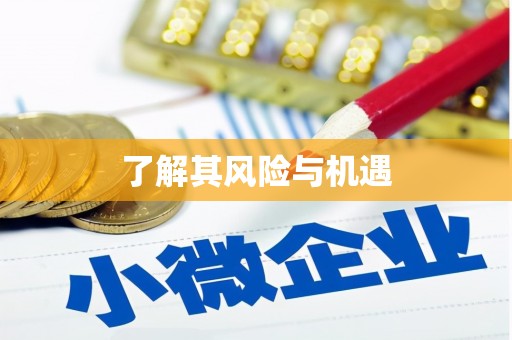 始兴了解其风险与机遇