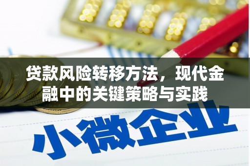 始兴贷款风险转移方法，现代金融中的关键策略与实践