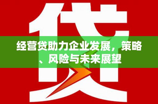 始兴经营贷助力企业发展，策略、风险与未来展望